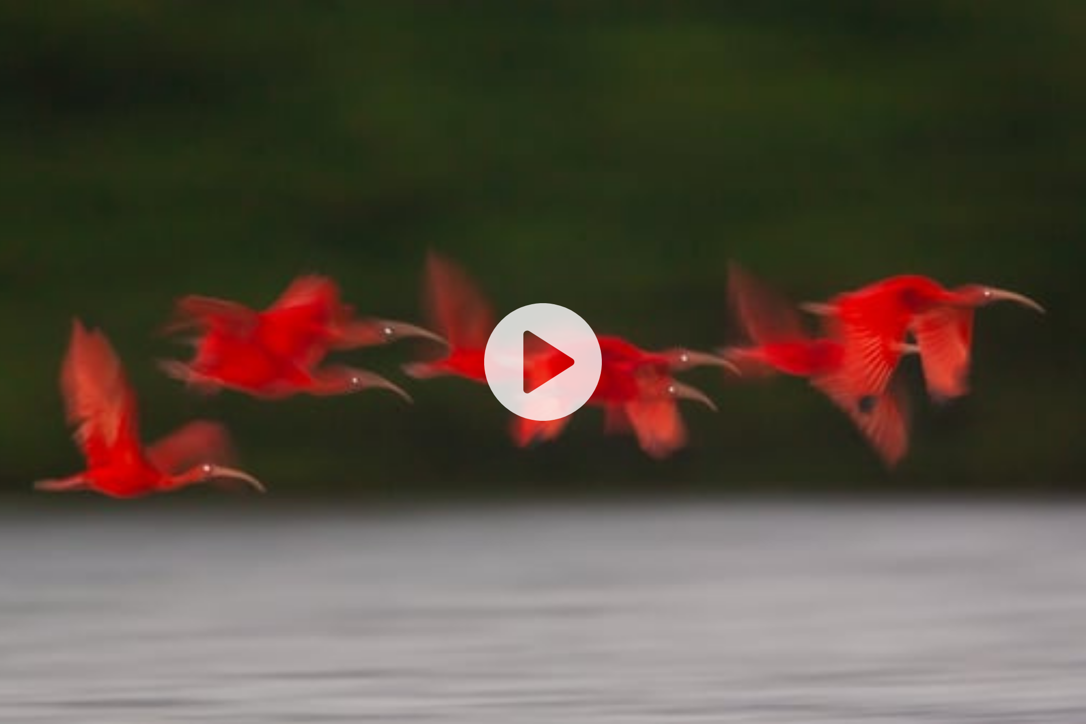 Part 8 — The art of motion