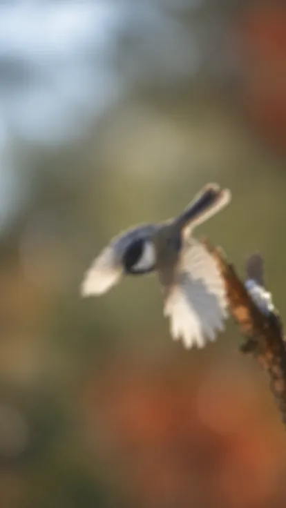 A chickadee taking off from its perch, completely out of focus
