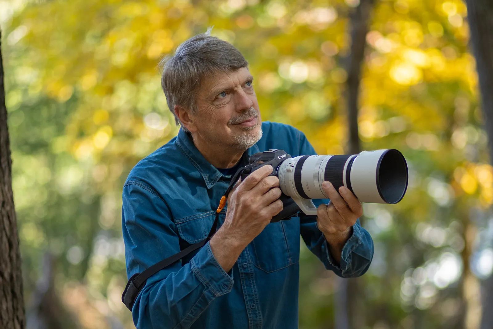 Tim Laman in autumn woods holding a camera with a white telephoto lens, looking up into the trees